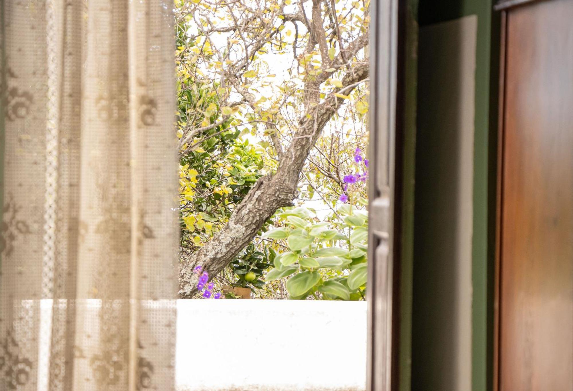 Vivienda Vacacional Finca Monterrey Mazo Eksteriør bilde